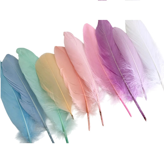 Pack of 12 Pastel Color Colorful Feathers for DIY Craft Wedding Home Party Decorations