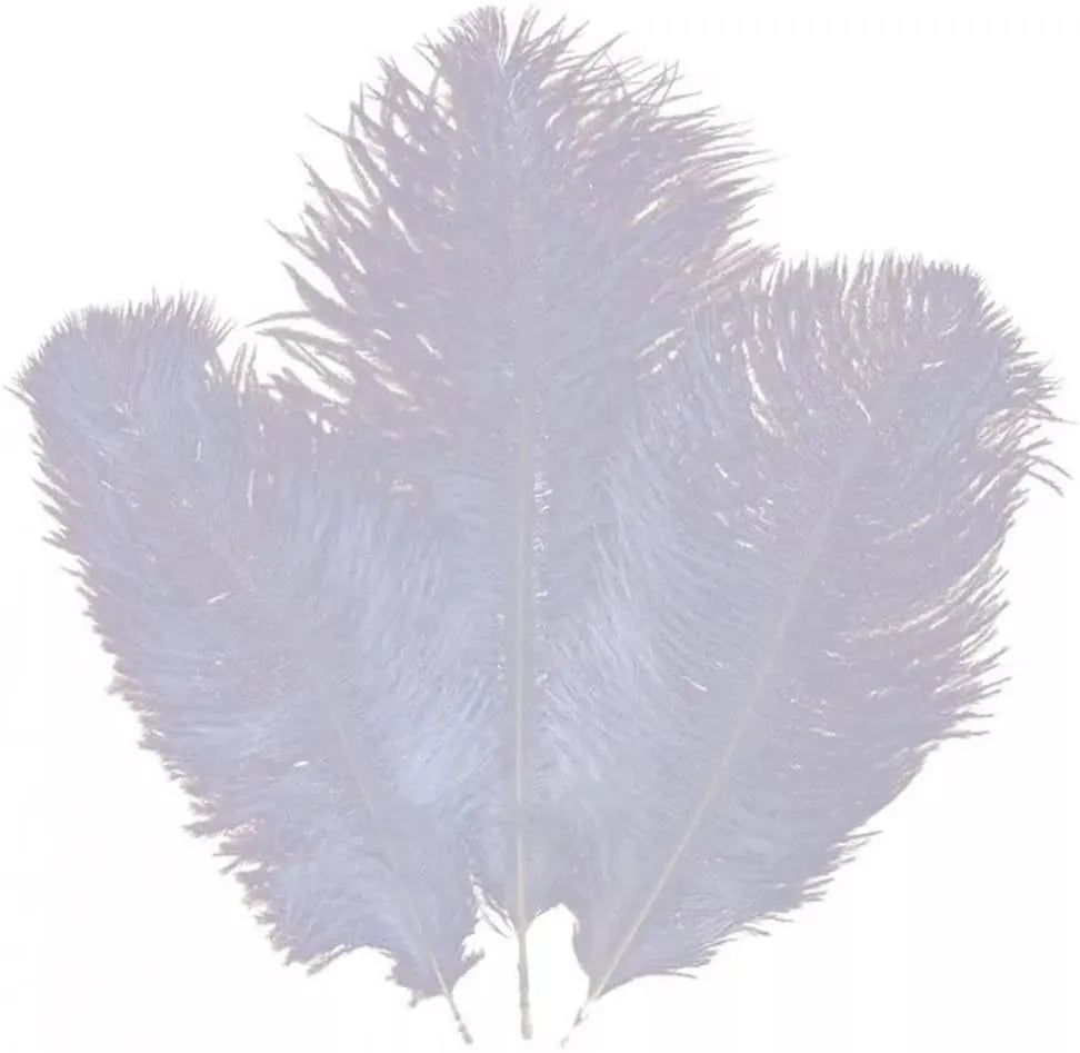 Shop 3Pcs large natural ostrich feathers for your DIY crafts. These elegant feathers add a touch of sophistication to any project. Unleash your creativity now!