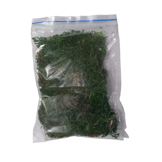 Artificial Green Grass for model making at Best Price in Pakistan. Best Art Supplies, Office & Stationery Store. ✓ Free Delivery ✓ Cash on Delivery ✓ Deals