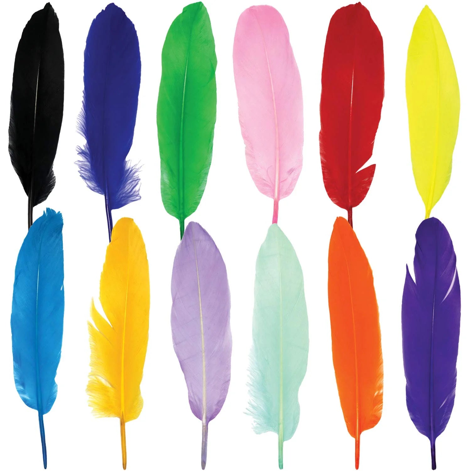 Colorful Feathers for DIY Craft - Pack of 12 at Best Price in Pakistan. Best Art Supplies, Office & Stationery Store. ✓ Free Delivery ✓ Cash on Delivery ✓ Deals