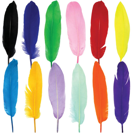 Colorful Feathers for DIY Craft - Pack of 12 at Best Price in Pakistan. Best Art Supplies, Office & Stationery Store. ✓ Free Delivery ✓ Cash on Delivery ✓ Deals