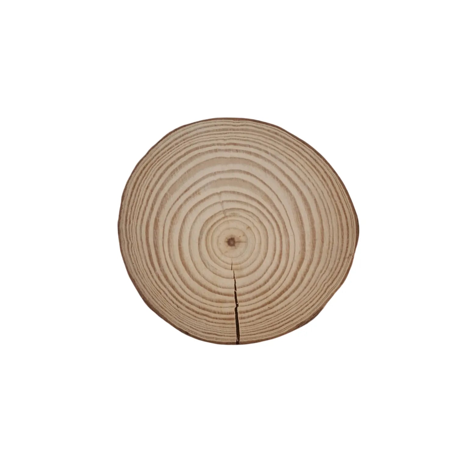Shop natural wooden tree slice discs with wood cut rings at Qasimstationers.pk. Find the best prices and enhance your crafting projects today!