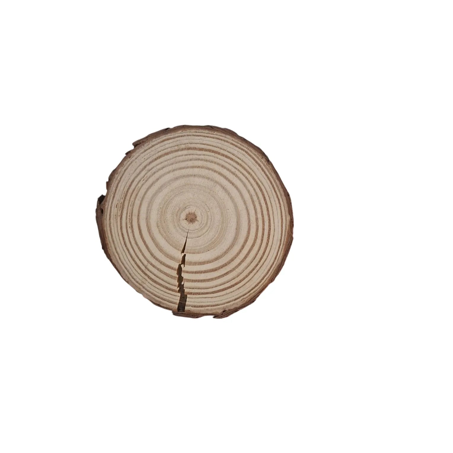Shop natural wooden tree slice discs with wood cut rings at Qasimstationers.pk. Find the best prices and enhance your crafting projects today!