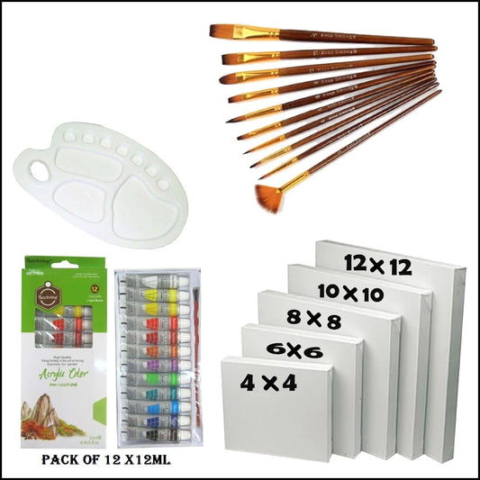 28 Pcs/Set Value Pack For Artist - Canvases, Acrylic Paints, Multi Shape Brushes and 10 Wells Palette