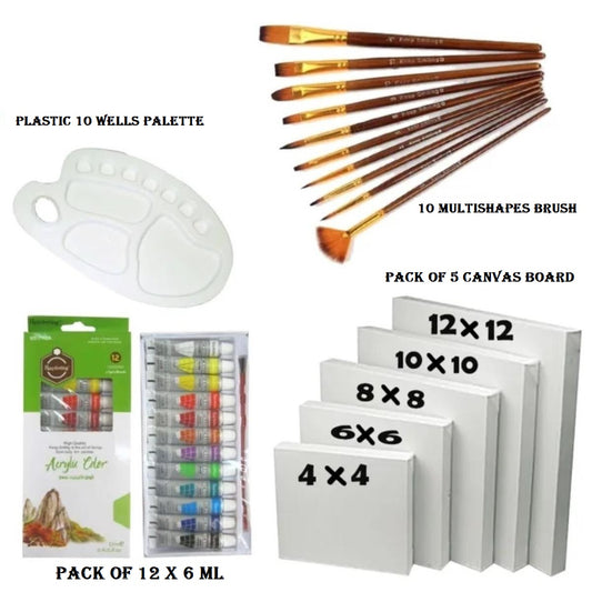 28 Pcs/Set Value Pack For Artist - Canvases, Acrylic Paints, Multi Shape Brushes and 10 Wells Palette