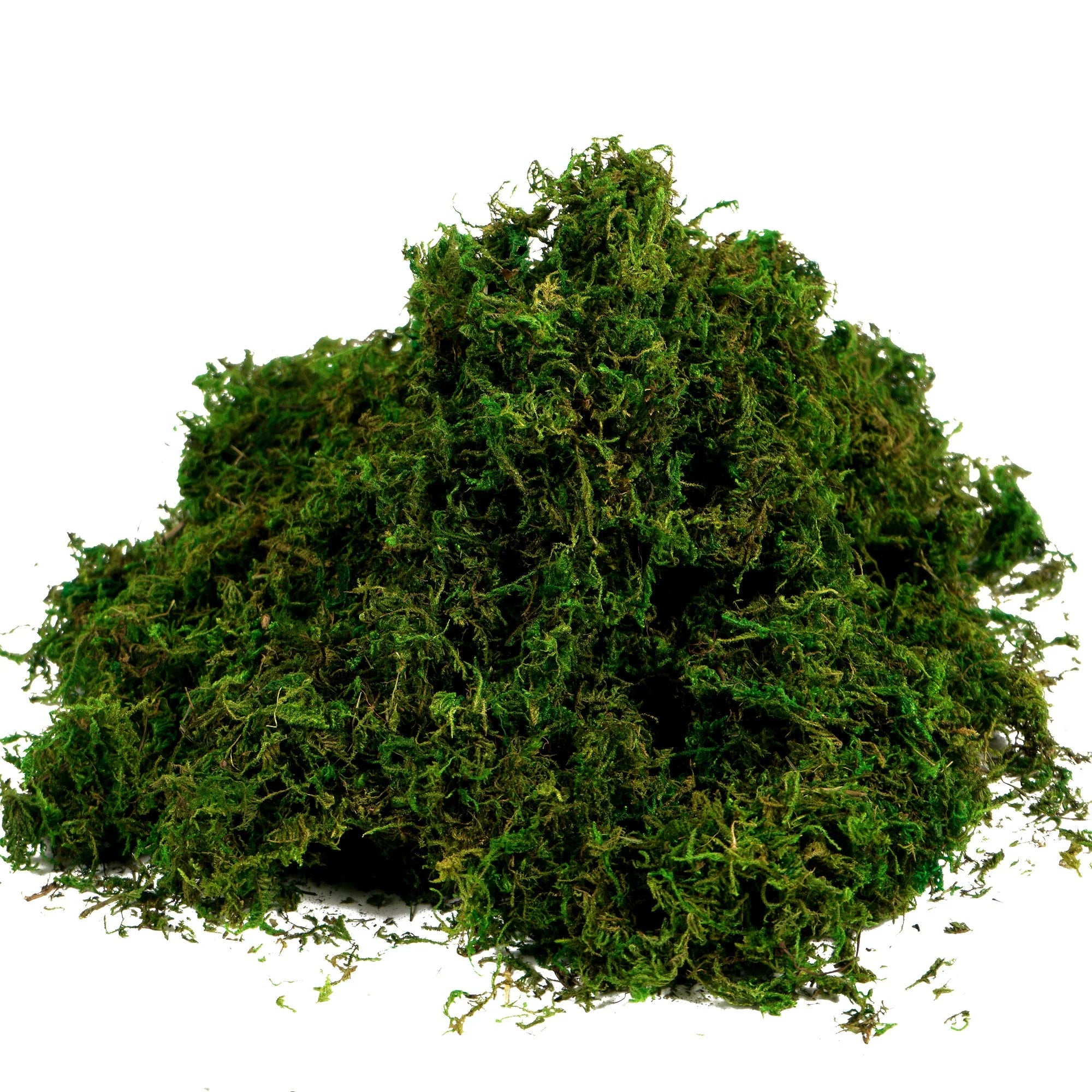 Artificial Green Grass for model making at Best Price in Pakistan. Best Art Supplies, Office & Stationery Store. ✓ Free Delivery ✓ Cash on Delivery ✓ Deals