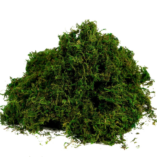 Artificial Green Grass for model making at Best Price in Pakistan. Best Art Supplies, Office & Stationery Store. ✓ Free Delivery ✓ Cash on Delivery ✓ Deals