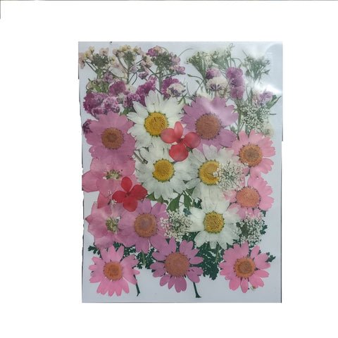 Dried Pressed Flowers for Resin Dry Leaves Bulk for Scrapbooking DIY Art Crafts at Best Price in Pakistan. Best Art Supplies, Office & Stationery Store. ✓ Free Delivery ✓ Cash on Delivery ✓ Deals