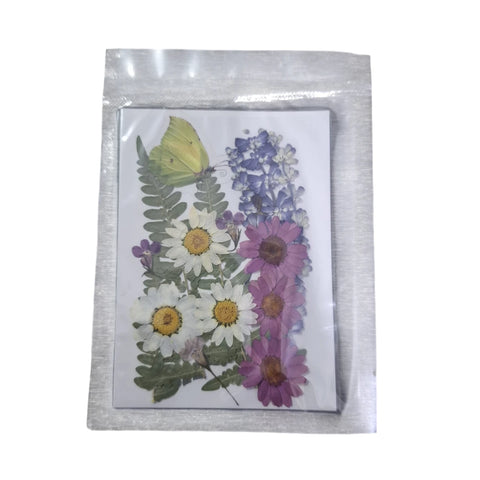 Dried Pressed Flowers for Resin Dry Leaves Bulk for Scrapbooking DIY Art Crafts