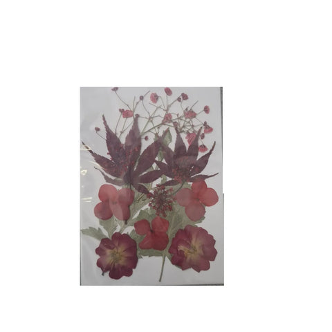 Dried Pressed Flowers for Resin Dry Leaves Bulk for Scrapbooking DIY Art Crafts