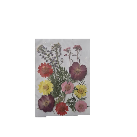 Dried Pressed Flowers for Resin Dry Leaves Bulk for Scrapbooking DIY Art Crafts