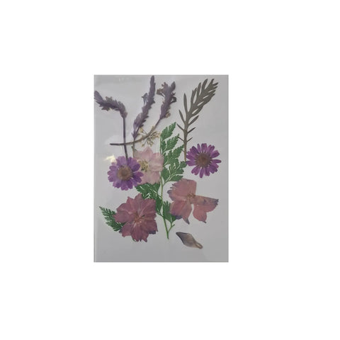 Dried Pressed Flowers for Resin Dry Leaves Bulk for Scrapbooking DIY Art Crafts