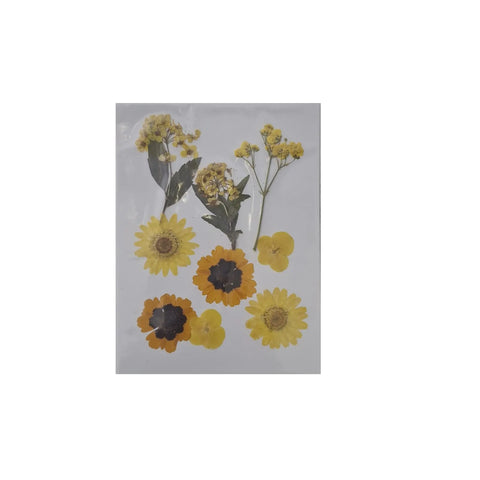 Dried Pressed Flowers for Resin Dry Leaves Bulk for Scrapbooking DIY Art Crafts