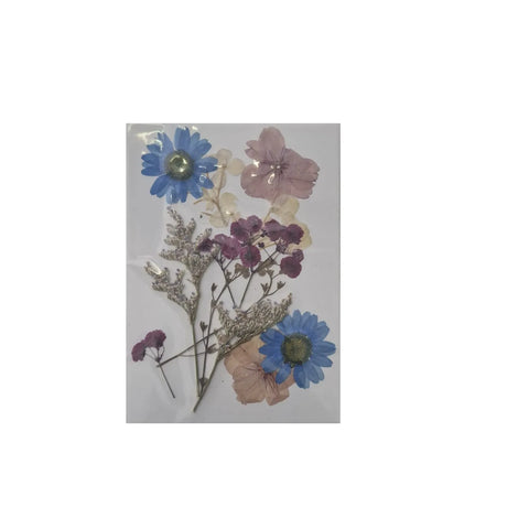 Dried Pressed Flowers for Resin Dry Leaves Bulk for Scrapbooking DIY Art Crafts