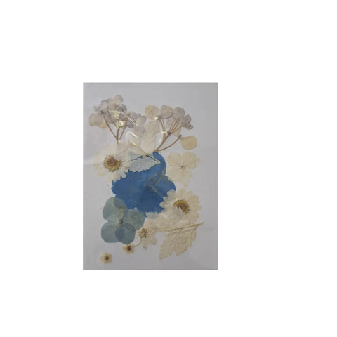 Dried Pressed Flowers for Resin Dry Leaves Bulk for Scrapbooking DIY Art Crafts