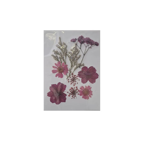 Dried Pressed Flowers for Resin Dry Leaves Bulk for Scrapbooking DIY Art Crafts