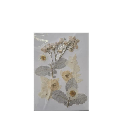 Dried Pressed Flowers for Resin Dry Leaves Bulk for Scrapbooking DIY Art Crafts