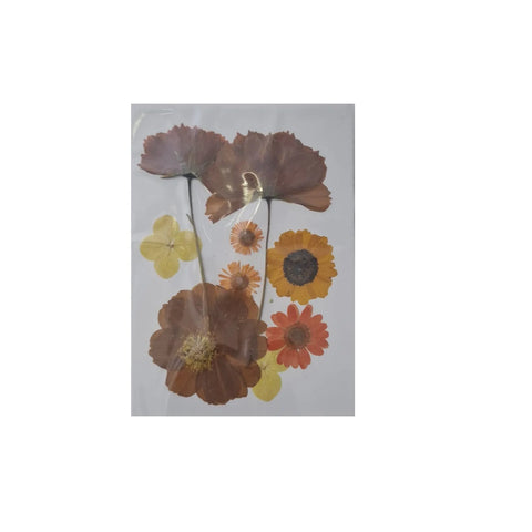 Dried Pressed Flowers for Resin Dry Leaves Bulk for Scrapbooking DIY Art Crafts