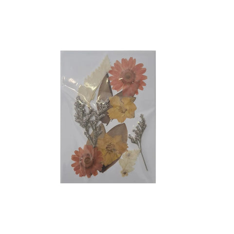 Dried Pressed Flowers for Resin Dry Leaves Bulk for Scrapbooking DIY Art Crafts