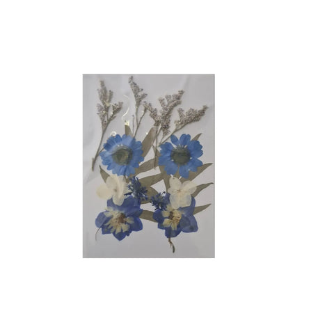 Dried Pressed Flowers for Resin Dry Leaves Bulk for Scrapbooking DIY Art Crafts