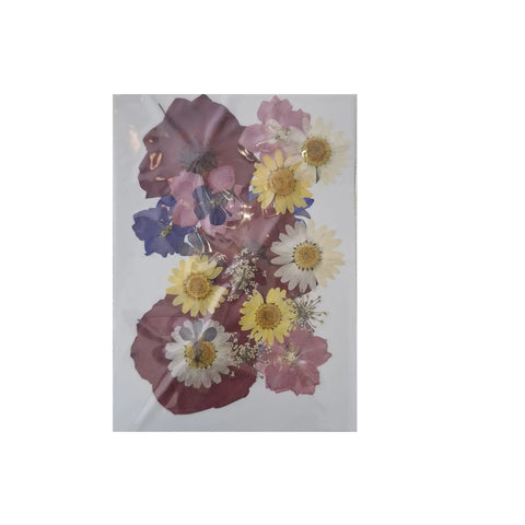 Dried Pressed Flowers for Resin Dry Leaves Bulk for Scrapbooking DIY Art Crafts