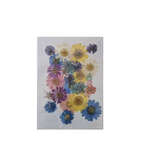 Dried Pressed Flowers for Resin Dry Leaves Bulk for Scrapbooking DIY Art Crafts