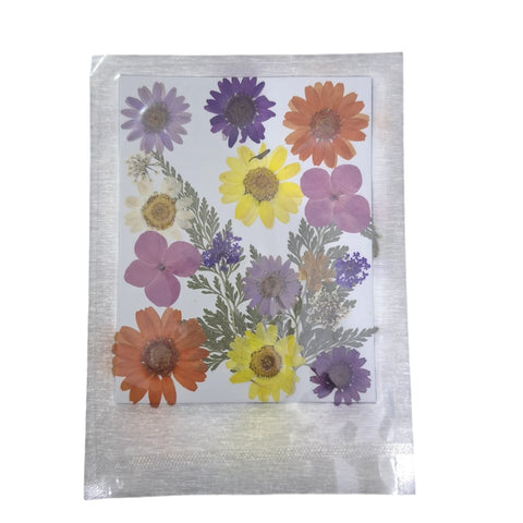 Dried Pressed Flowers for Resin Dry Leaves Bulk for Scrapbooking DIY Art Crafts